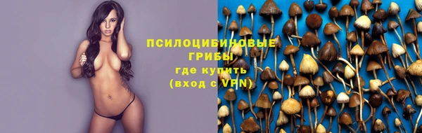 мяу мяу мука Куйбышев