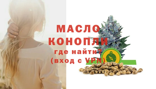 дмт Лабытнанги