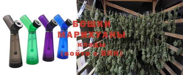 твердый Лагань