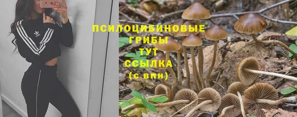 твердый Лагань