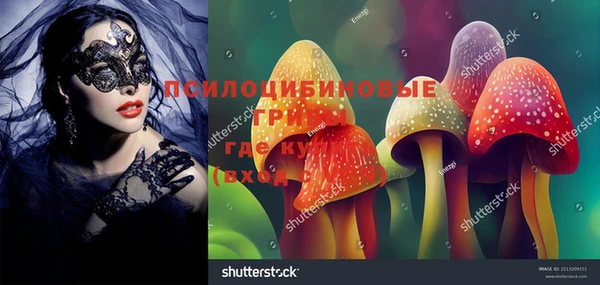ПСИЛОЦИБИНОВЫЕ ГРИБЫ Ладушкин