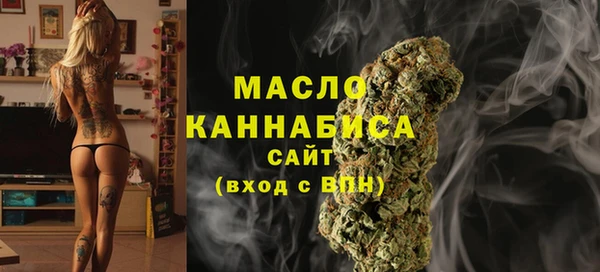дмт Лабытнанги